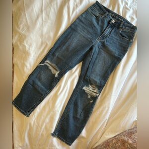 American eagle / x short / size 00 / mom jeans